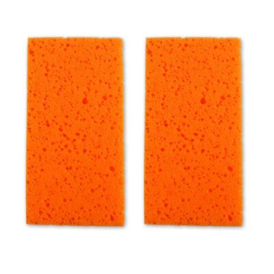 Bayer BWF2PK Main Wet Filter Suits BSC25L Vacuum - 2 Pack